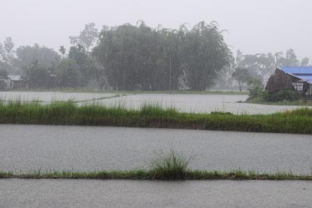 ಶೀತಲ